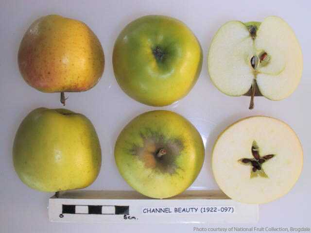 Channel Beauty