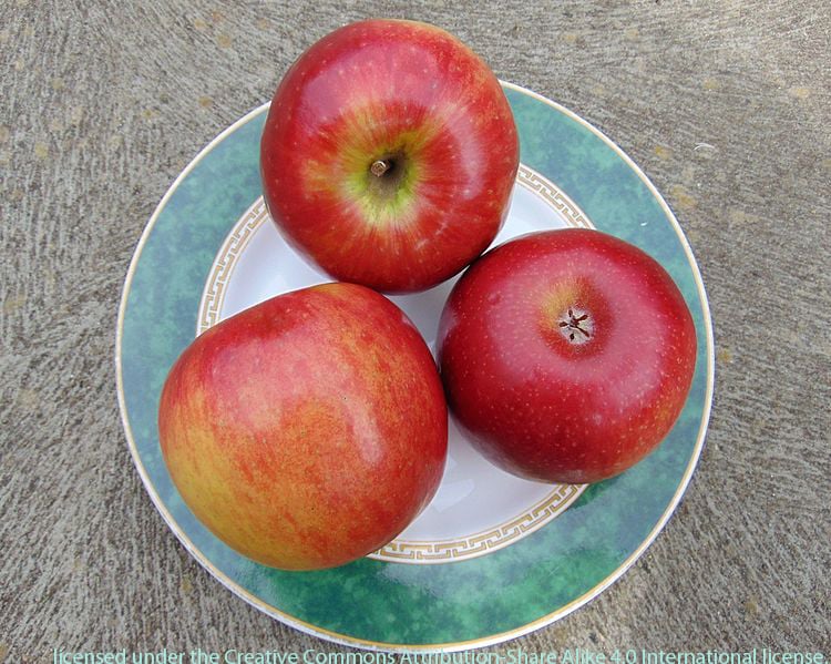 Cripps Red