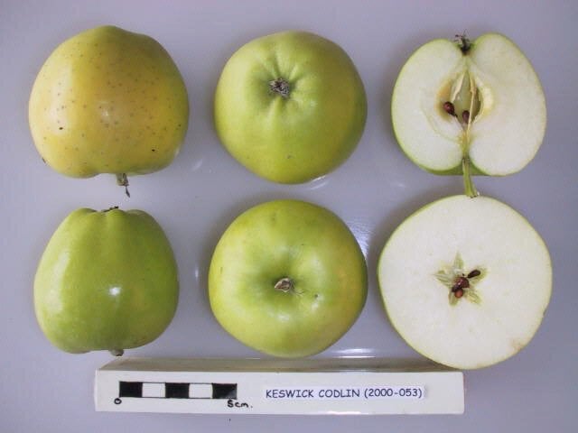 Keswick Codlin