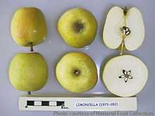 Limoncella