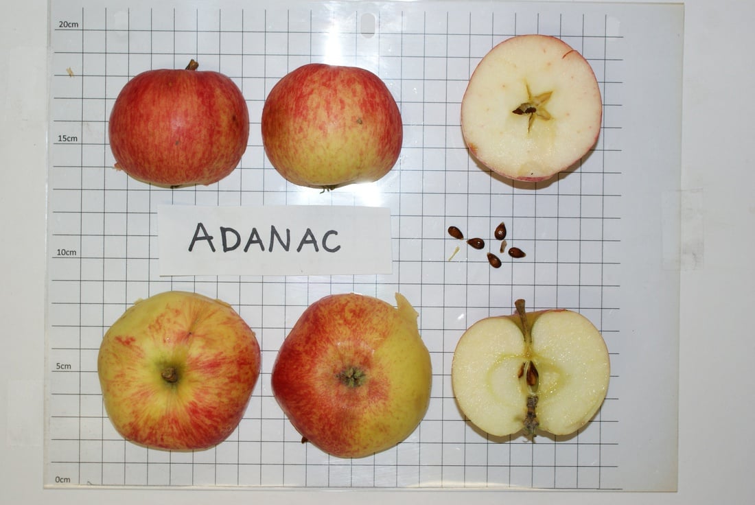 Adanac