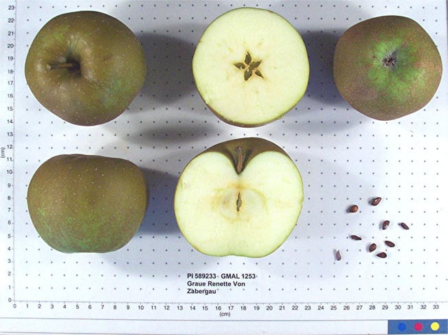 その他 sylver Apples SILVER APPLES - Silver Apples / Contact - Amazon.com Music