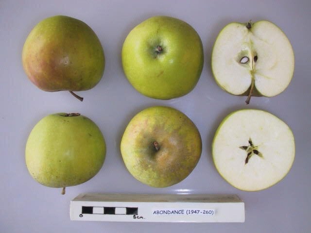 Abondance