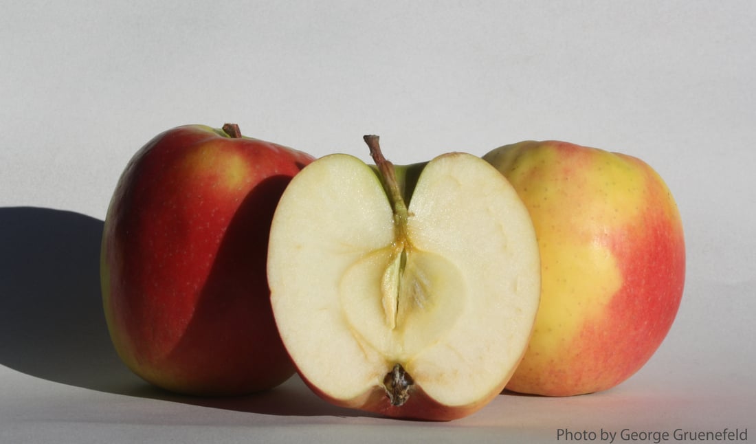 Pink Lady brand, Cripps Pink Cultivar