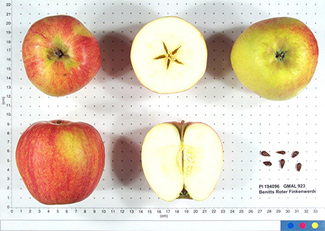 Index Of Apples Starting With B