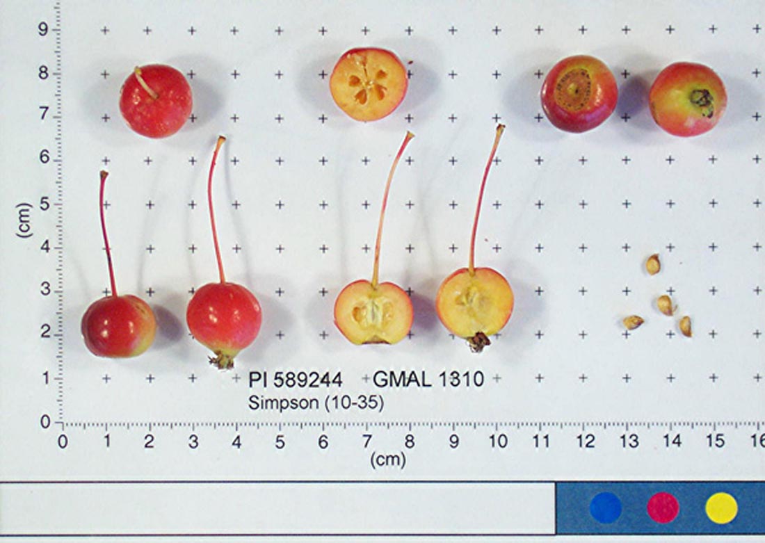 Simpson 10-35