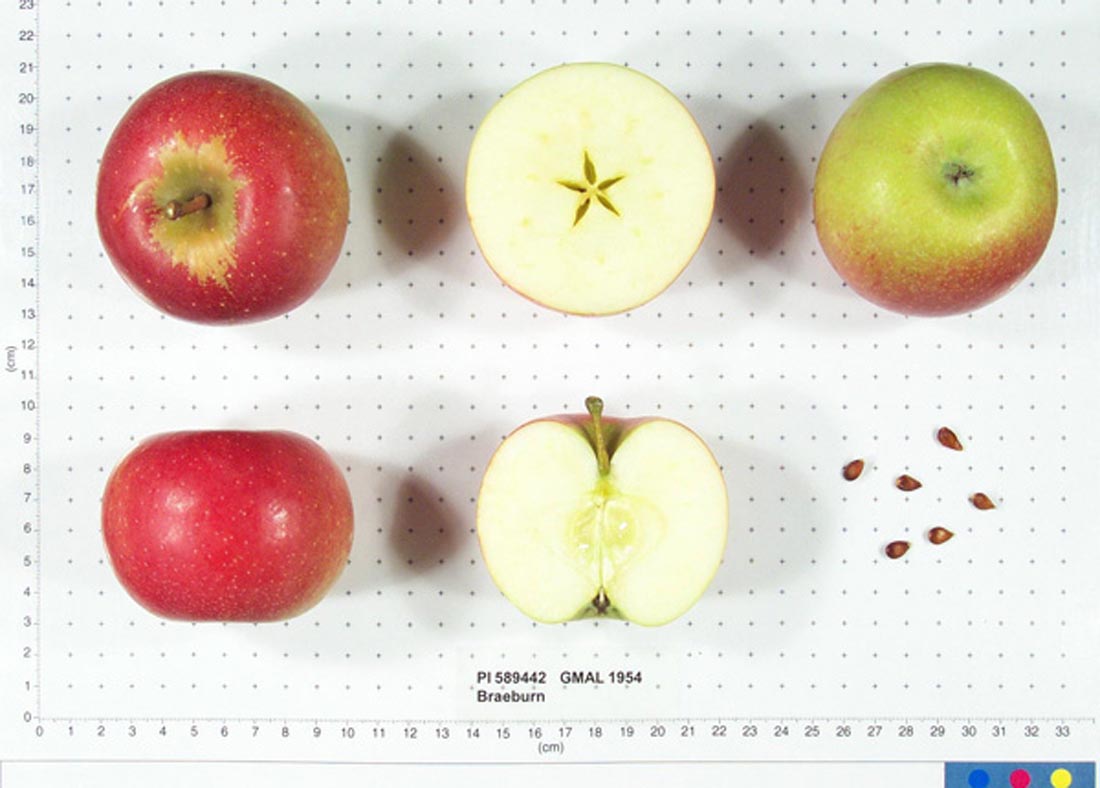 Braeburn
